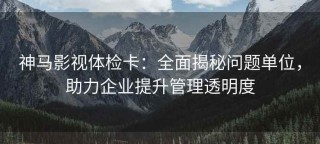 神马影视体检卡：全面揭秘问题单位，助力企业提升管理透明度