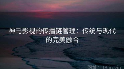 神马影视的传播链管理：传统与现代的完美融合