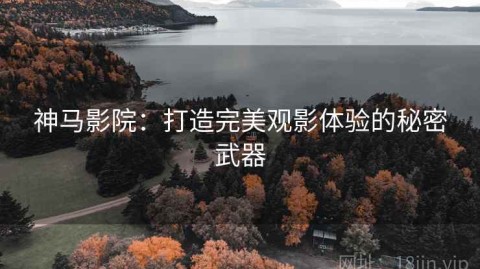 神马影院：打造完美观影体验的秘密武器