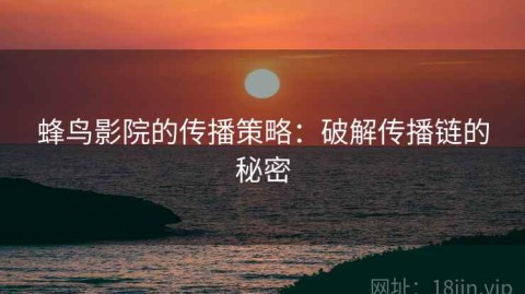 蜂鸟影院的传播策略：破解传播链的秘密