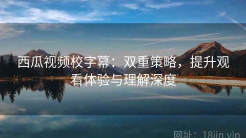 西瓜视频校字幕：双重策略，提升观看体验与理解深度