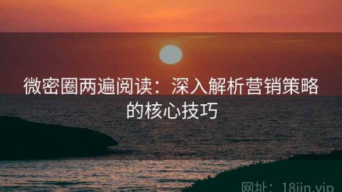 微密圈两遍阅读：深入解析营销策略的核心技巧