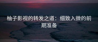 柚子影视的转发之道：细致入微的前期准备