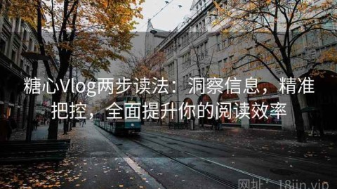 糖心Vlog两步读法：洞察信息，精准把控，全面提升你的阅读效率