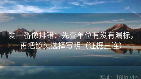 爱一番像排错：先查单位有没有漏标，再把镜头选择写明（证据三连）