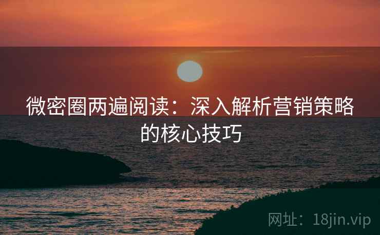 微密圈两遍阅读:深入解析营销策略的核心技巧 微密圈两遍阅读:深入解析营销策略的核心技巧
