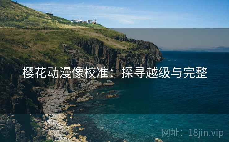 樱花动漫像校准：探寻越级与完整