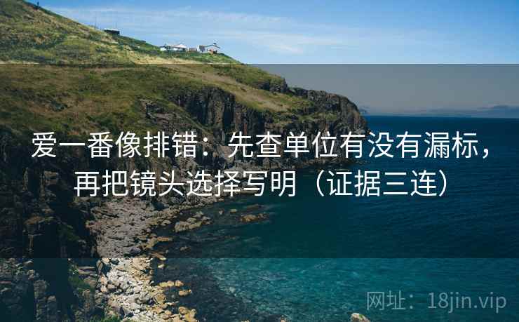 爱一番像排错：先查单位有没有漏标，再把镜头选择写明（证据三连）