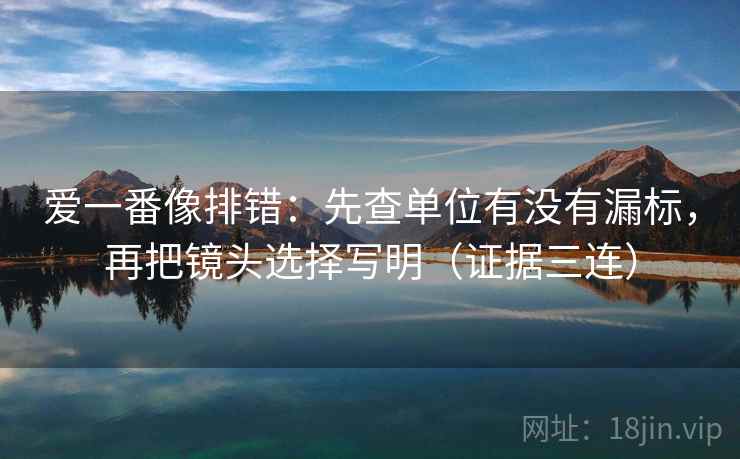 爱一番像排错：先查单位有没有漏标，再把镜头选择写明（证据三连）